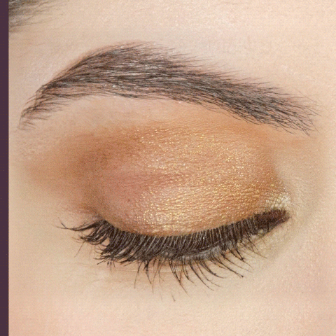 blinc Vegan Eyeshadow Primer